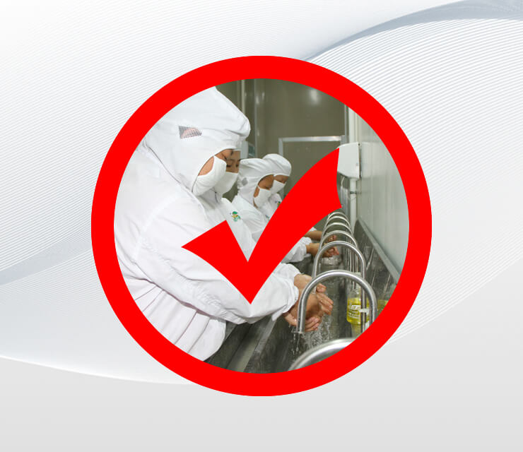 Health and Safety Working Environment